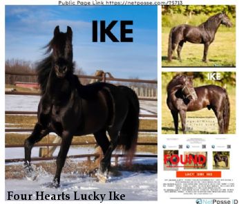 Four Hearts Lucky Ike